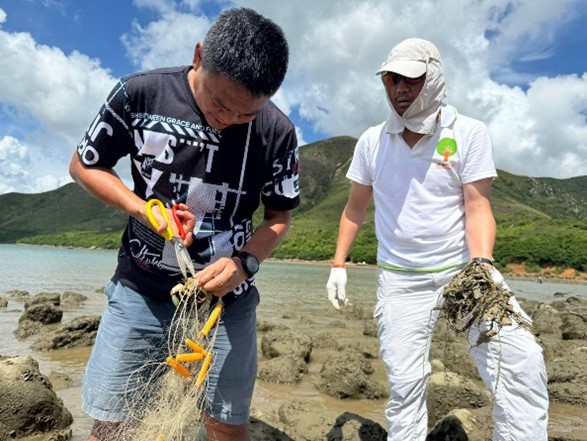 拯救被魚網困住的海洋小生物